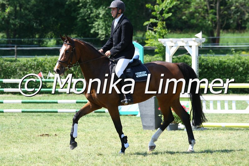 105M9996_Al Authentic Fire_Spingpf_A.JPG